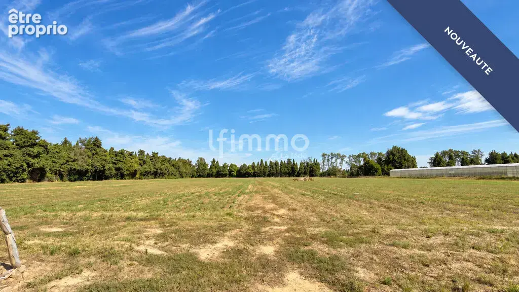 Villa T5 de 159 m2 sur 30 000 m2 de terrain - Elne - photo 15