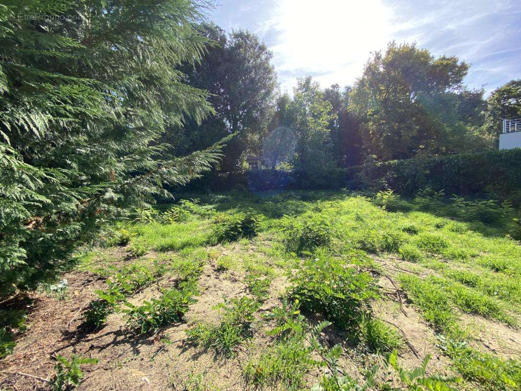 Terrain à LONGEVILLE-SUR-MER