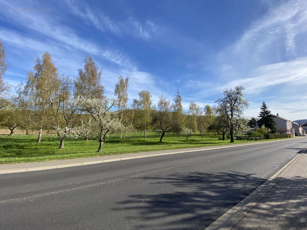 Terrain à HARGARTEN-AUX-MINES