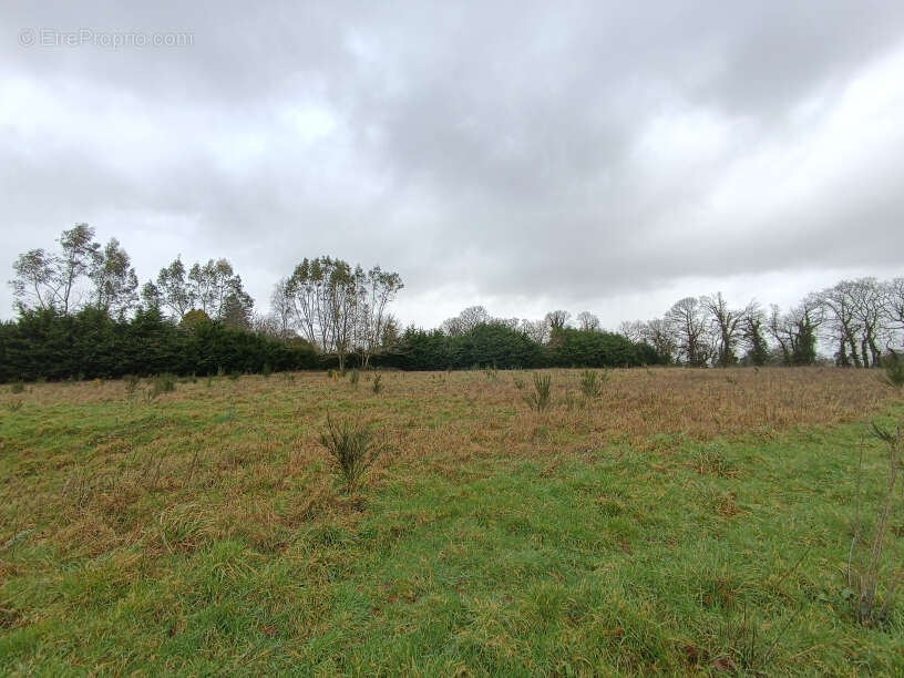 Terrain à PLOUGUERNEVEL