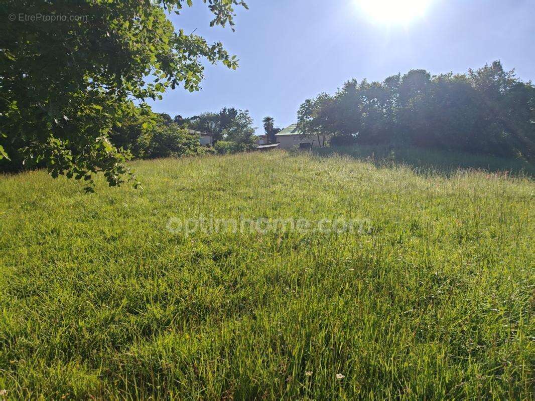 BAISSE DE PRIX !! Terrain constructible de 1 650m² situé à EAUZE (32) - photo 7