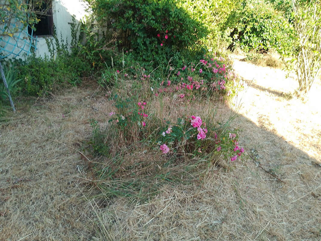 Maison Aubigny Sur Nere 5 pièce(s) 117 m² - photo 14