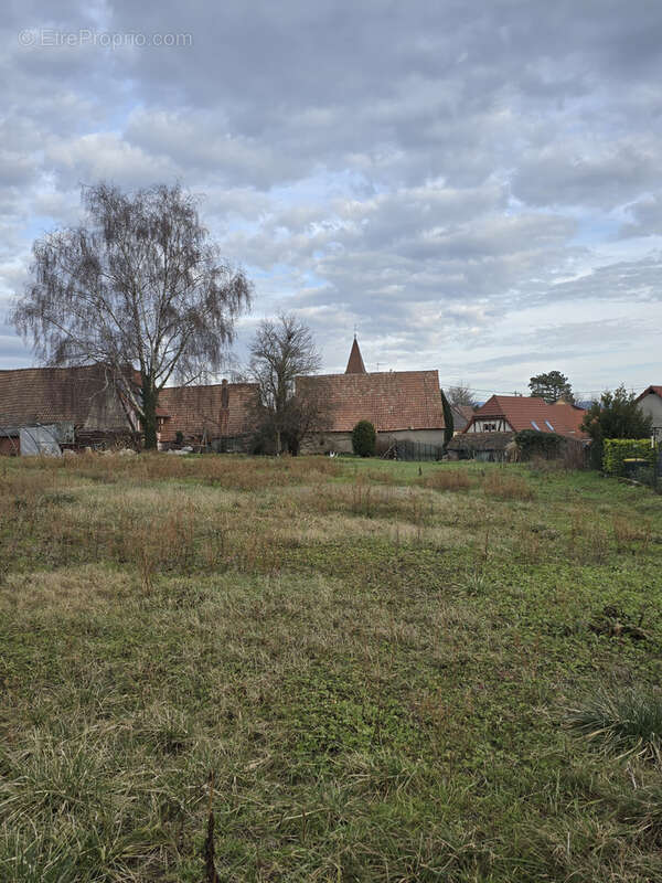 Terrain à ESCHENTZWILLER