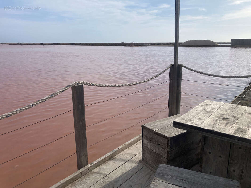 Gruissan, à 3kms des plages, maison de caractère rénovée avec 5 chambres, sur un parc de 2,5 hectares, avec pi - photo 41