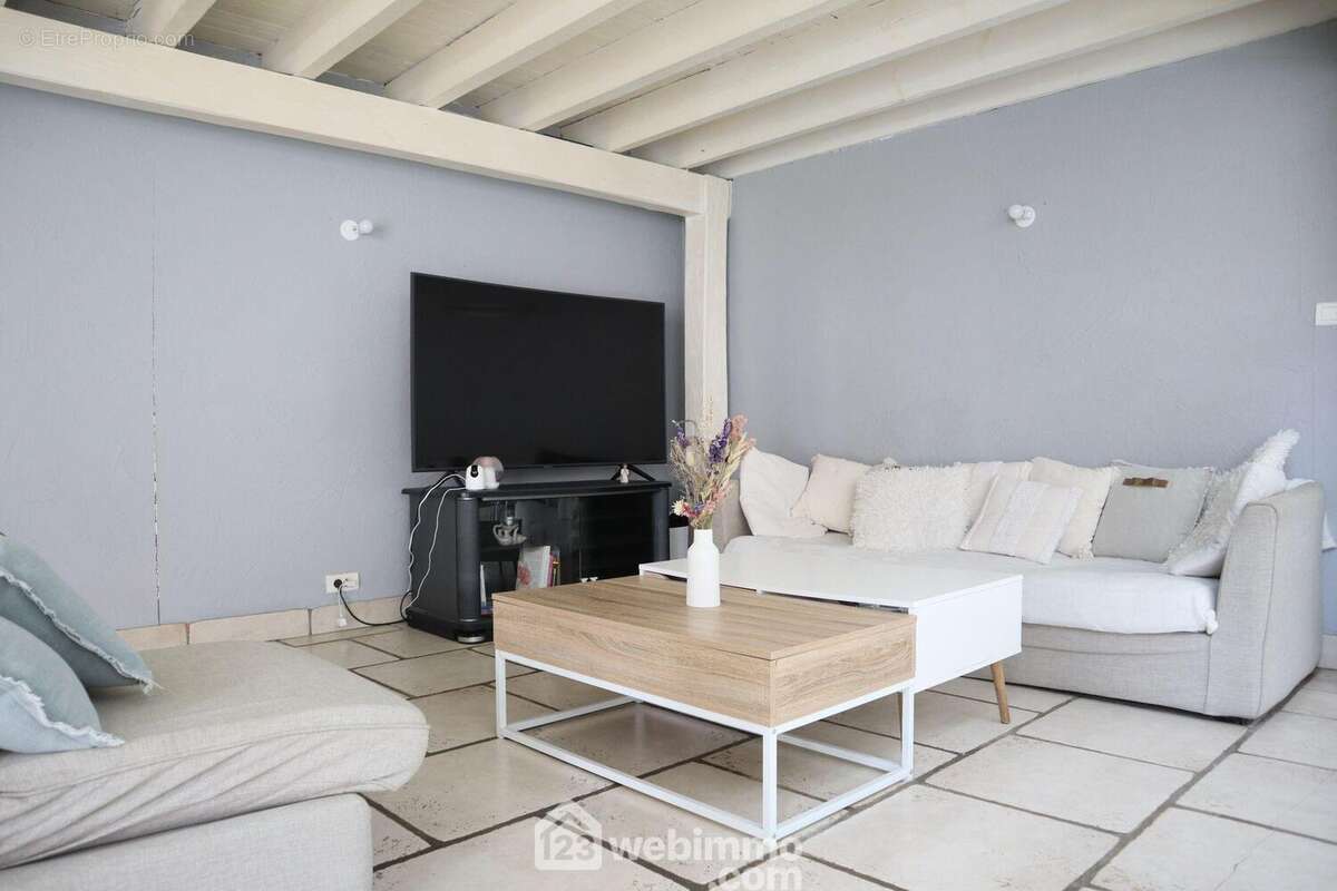 Salon, - Maison à TERCE