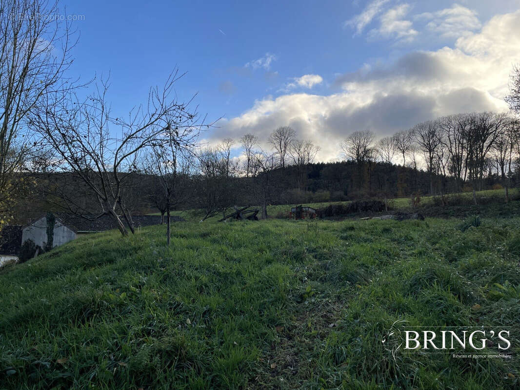 Commerce à VILLAINES-LA-CARELLE