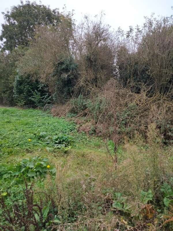 Terrain à CAMPS-EN-AMIENOIS