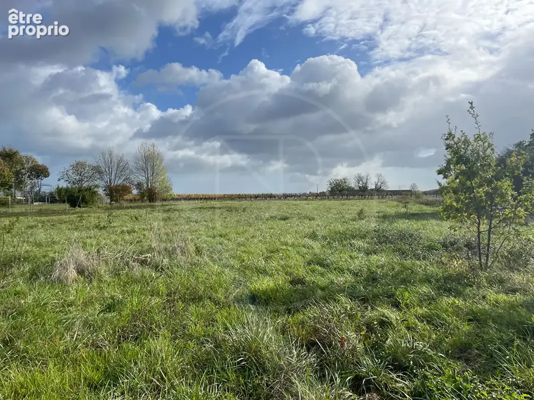 Photo Terrain à Velines au prix de 32 500€