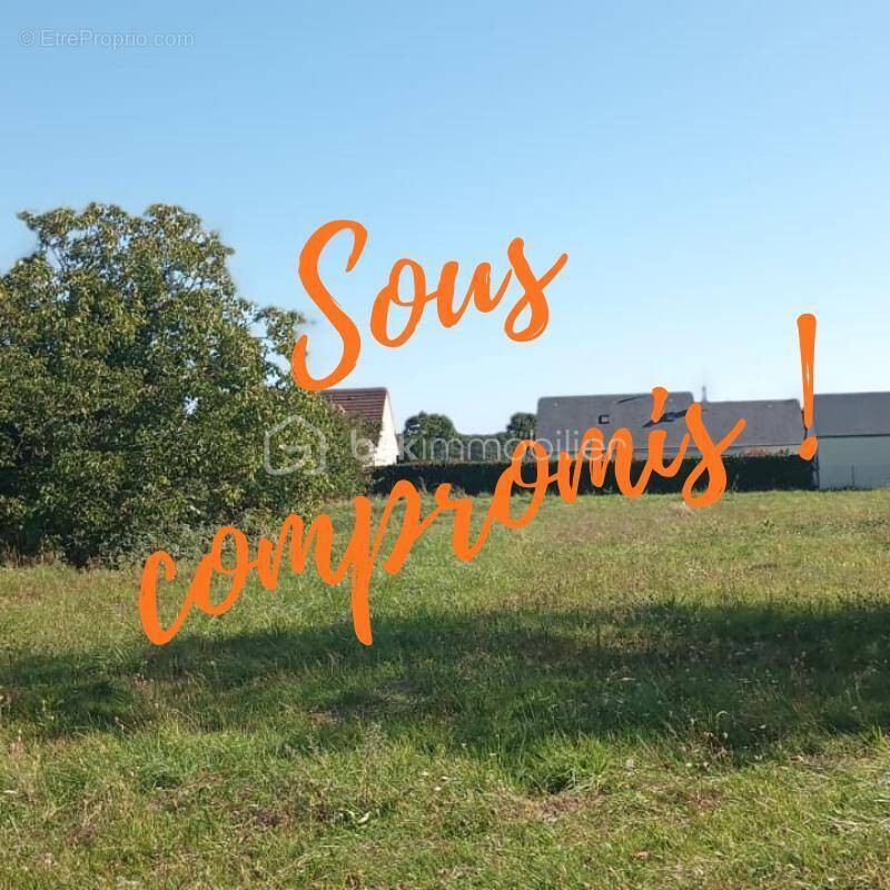 Terrain à MUIDES-SUR-LOIRE