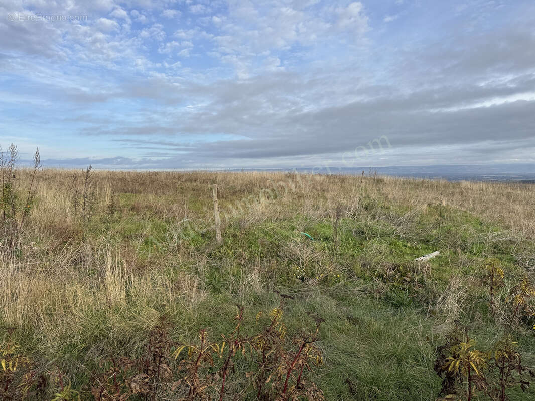 Maison à CARCASSONNE