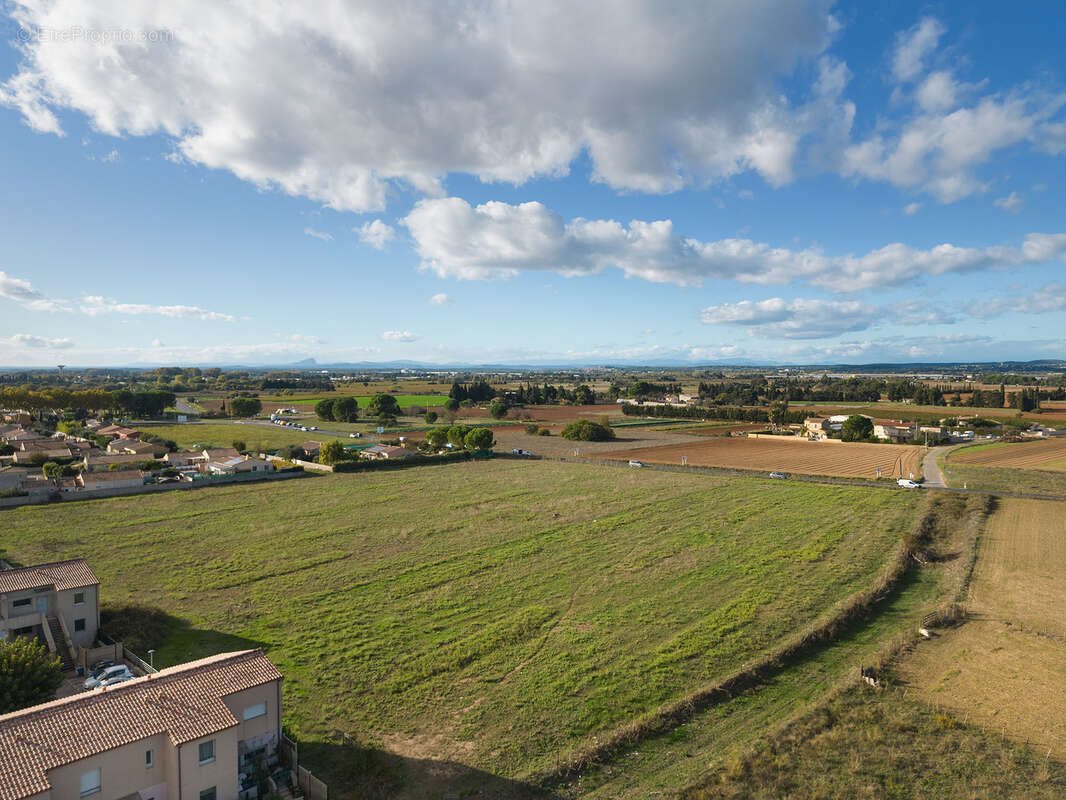 Terrain à LE CAILAR