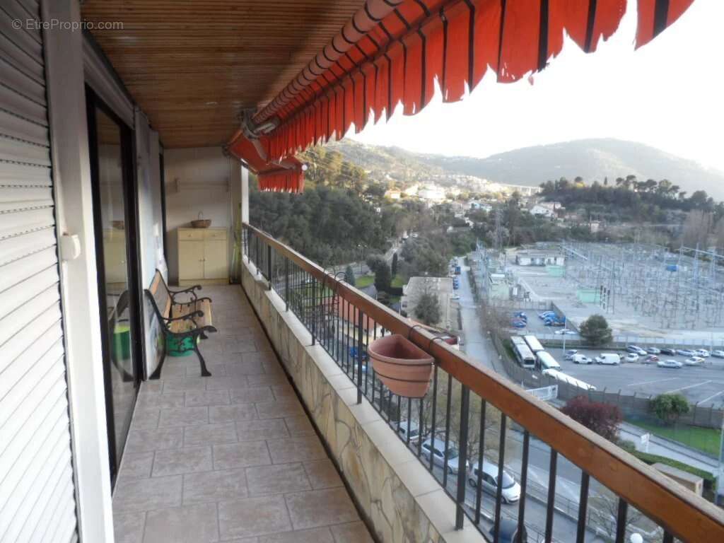 LA TRINITÉ : Le Chêne vert - photo 11