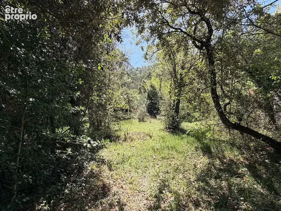 Terrain 881 m² à vendre à Plan-D'aups-Sainte-Baume (83640) - photo 2