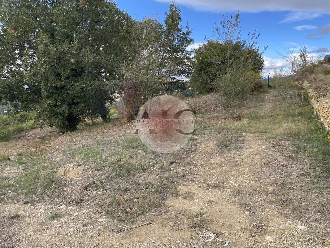 Terrain à MONTAUROUX