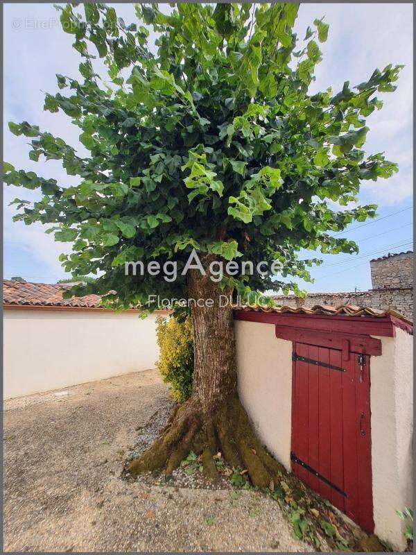 Charentaise renovees avec dependances et jardin - photo 4