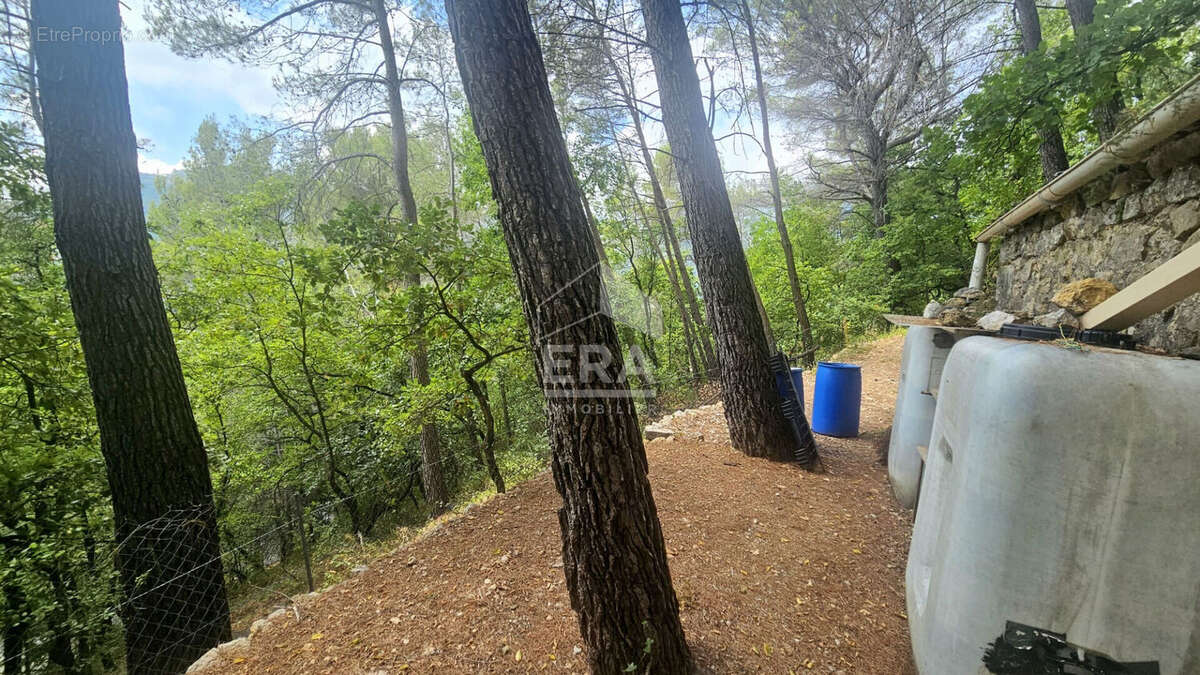 Terrain 2500m² à tourrettes-sur-loup - photo 6