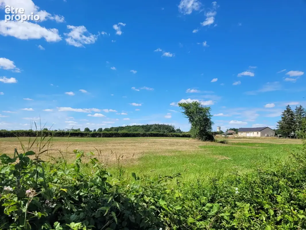 Terrain plat constructible de 3 500 m² à Chantelle - photo 4