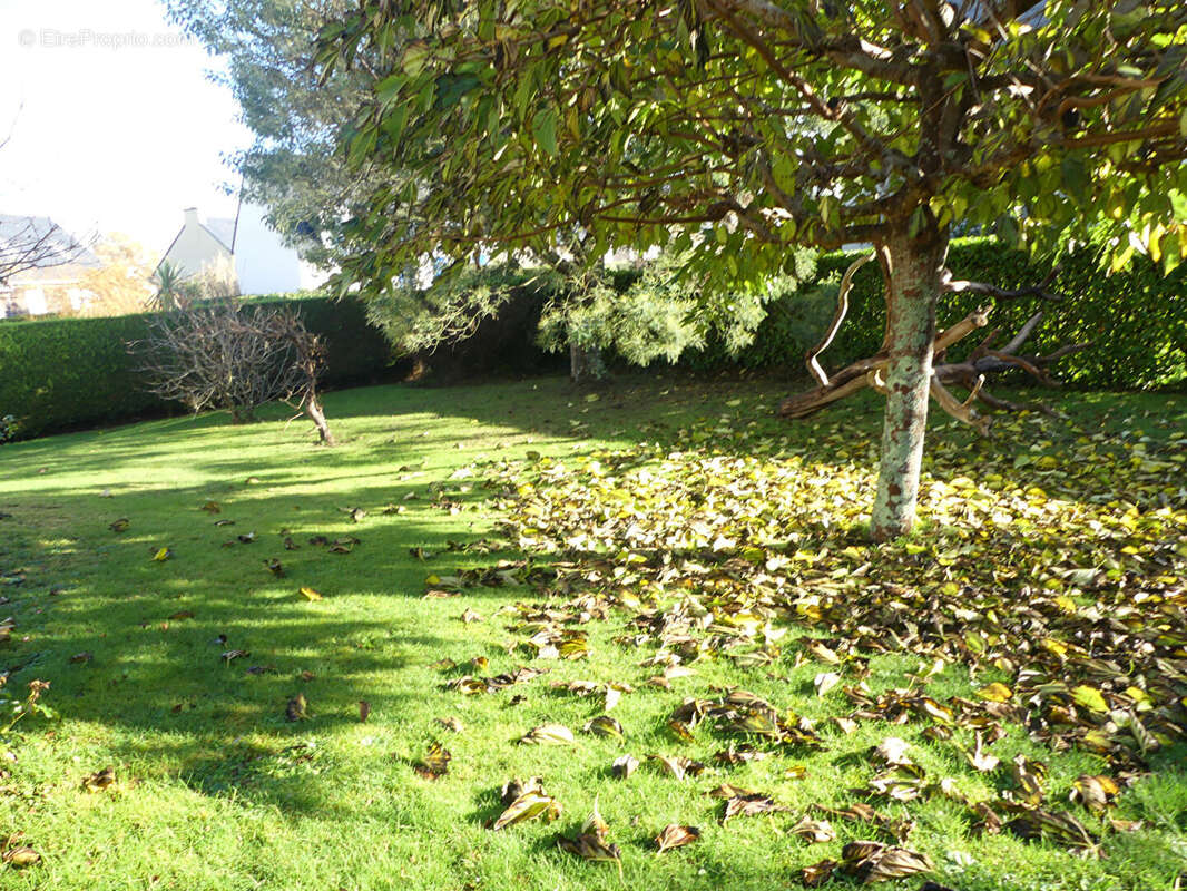 ILE-TUDY - Maison sur un terrain de 754 m2 - photo 15