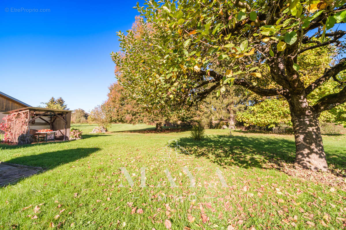 Maison à BETTENDORF