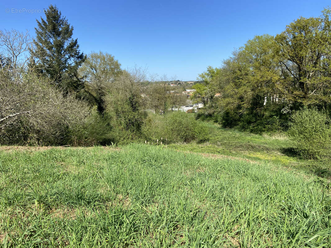 Terrain à MONTFAUCON-MONTIGNE