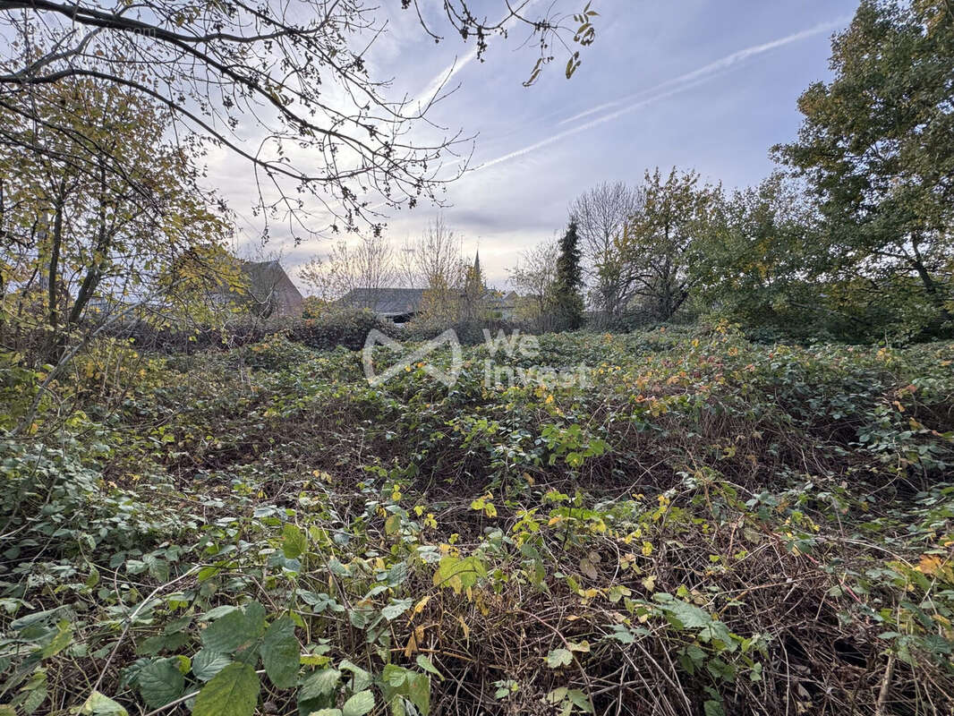 Terrain à VILLERS-SIRE-NICOLE