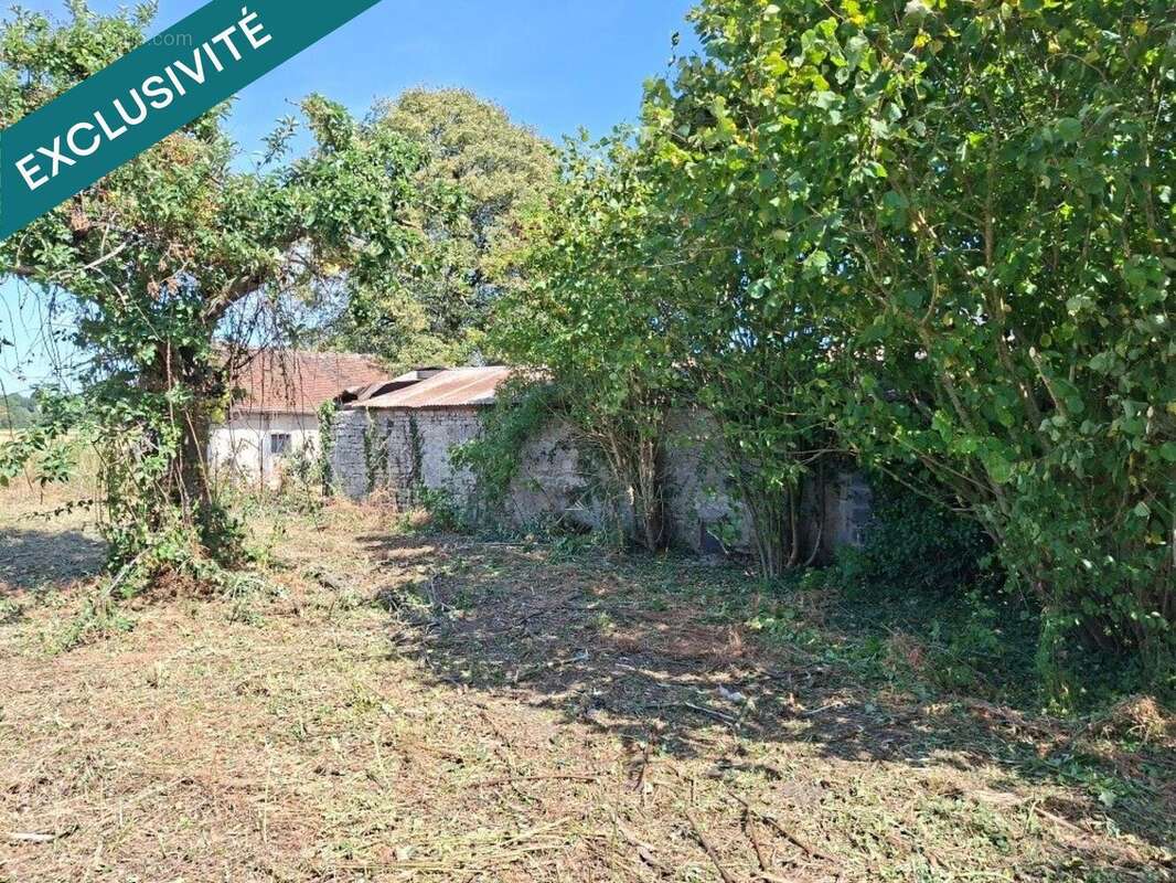 Commerce 225 m² à Santeau  - photo 6