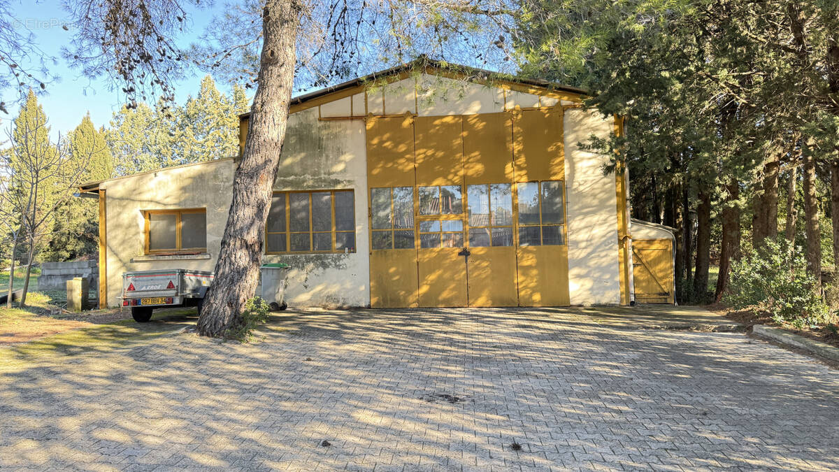 Commerce à MONTPELLIER