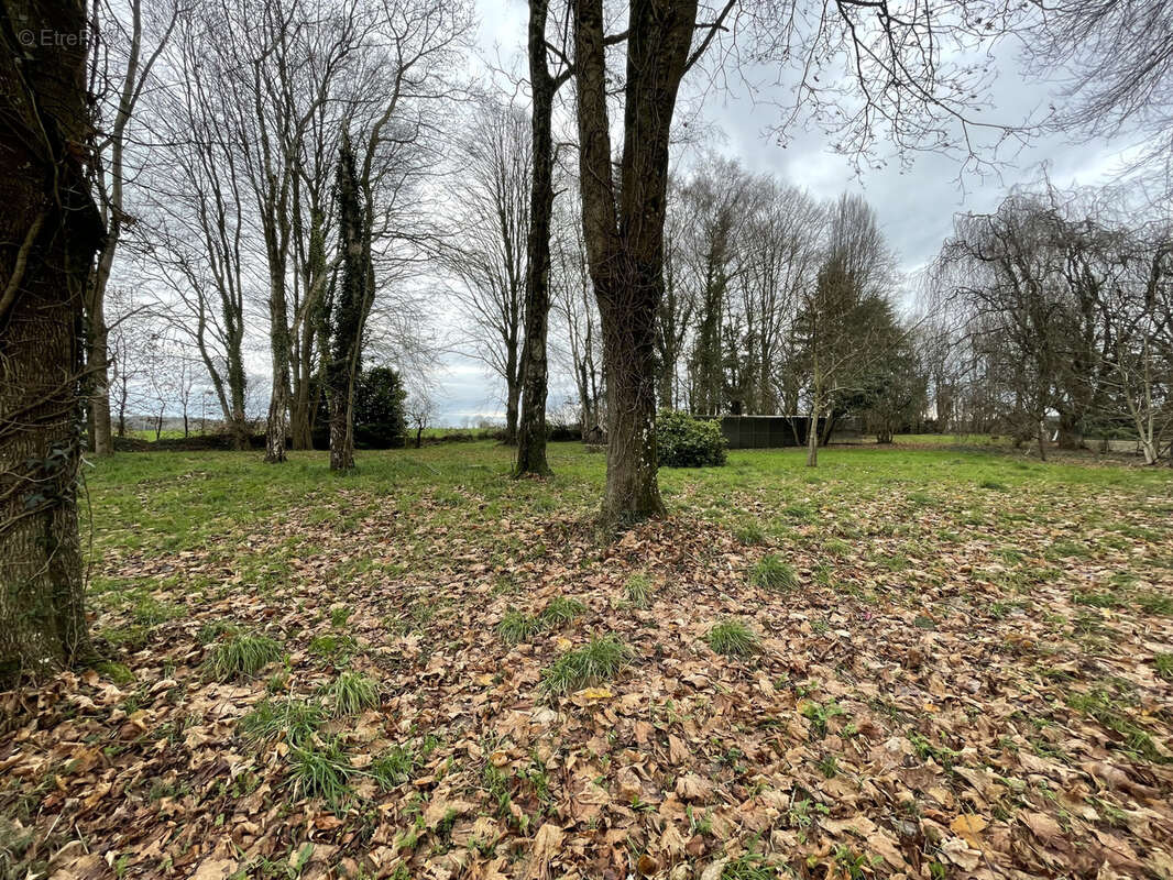 Maison à SAINT-GEORGES-BUTTAVENT
