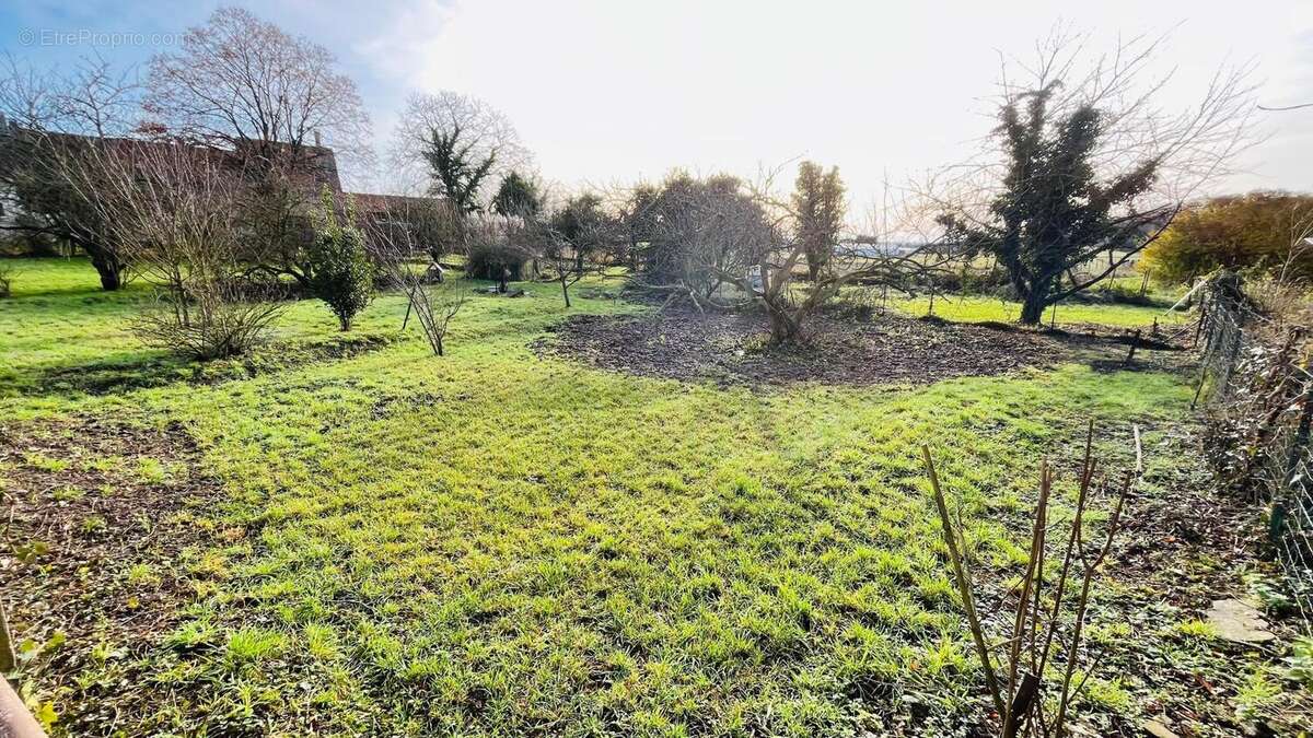Photo 2 - Terrain à GOUDELANCOURT-LES-BERRIEUX