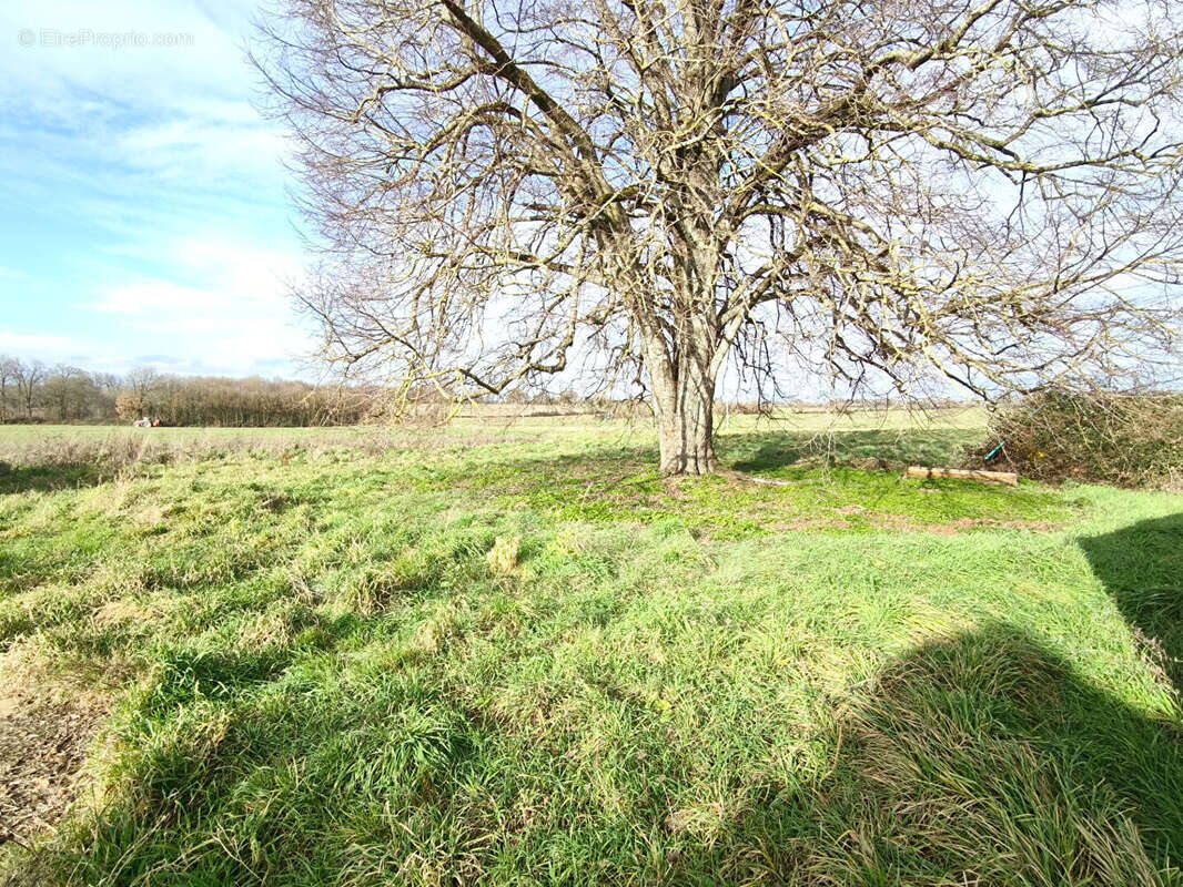 Maison à SOMMIERES-DU-CLAIN