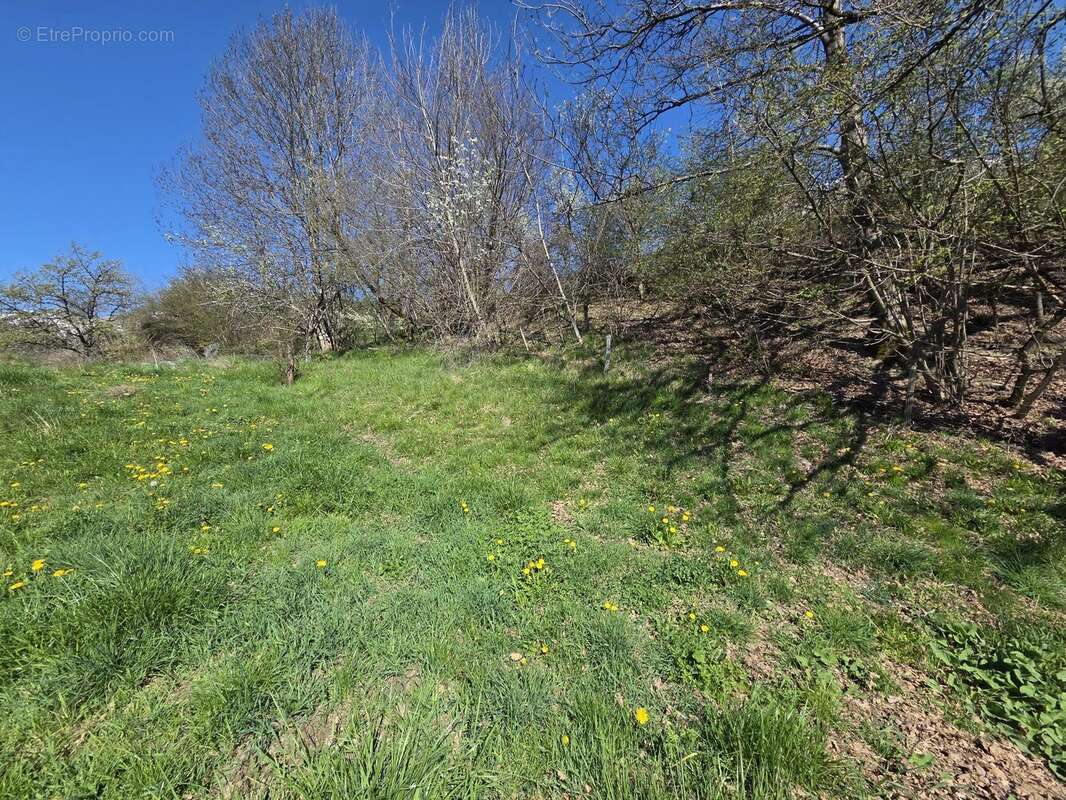 Terrain à PASSY