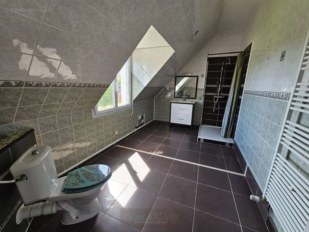 Maison à BRANSLES