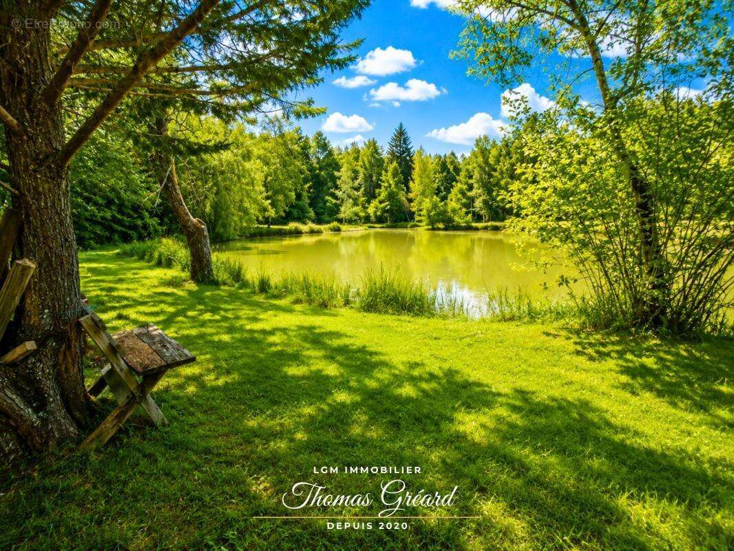 Terrain de loisirs 19 969 m² avec étang de pêche à Mur-de-Sologne - photo 3