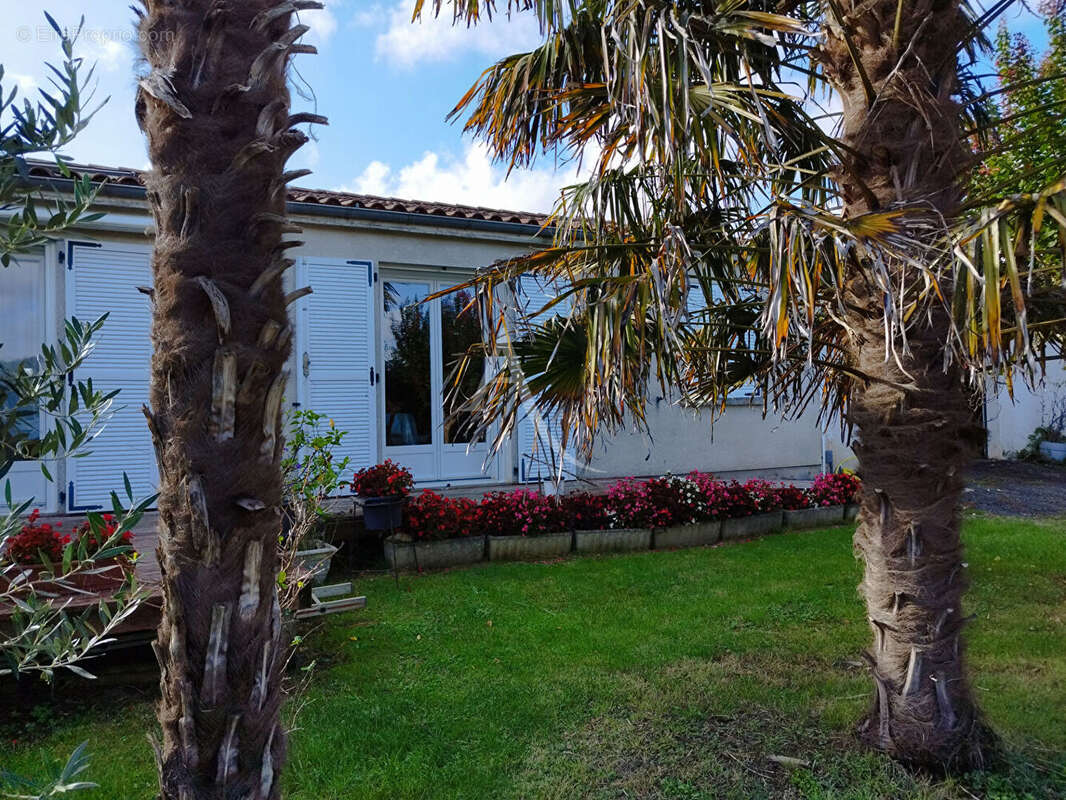 Maison à MONTPELLIER-DE-MEDILLAN