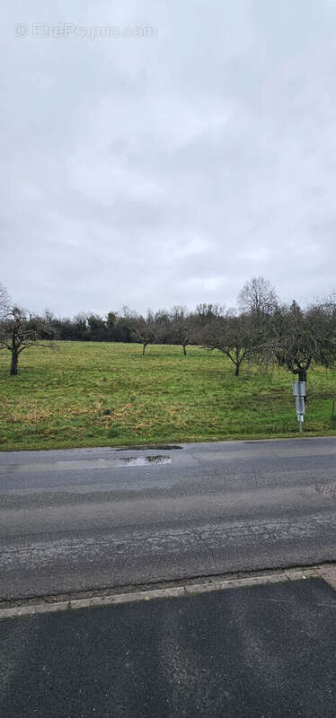 Terrain à SAINT-CYR-SUR-MORIN