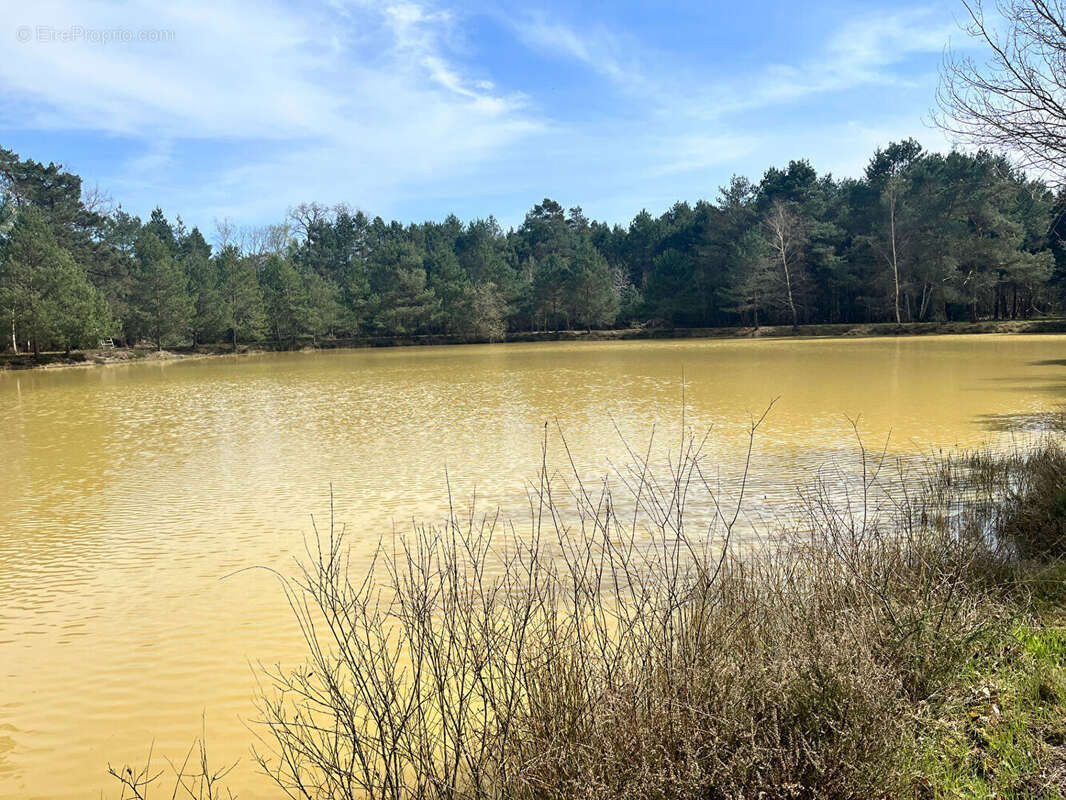 Maison à VIENNE-EN-VAL