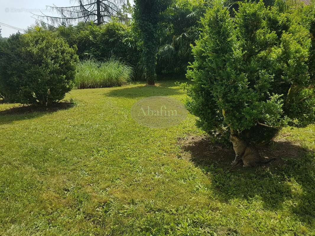 Maison à SALIES-DE-BEARN