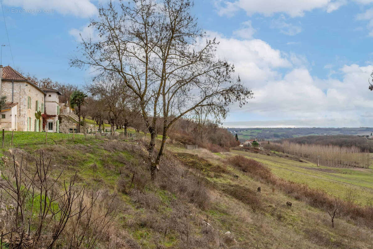 Country property with gite and pigeonnier - photo 6