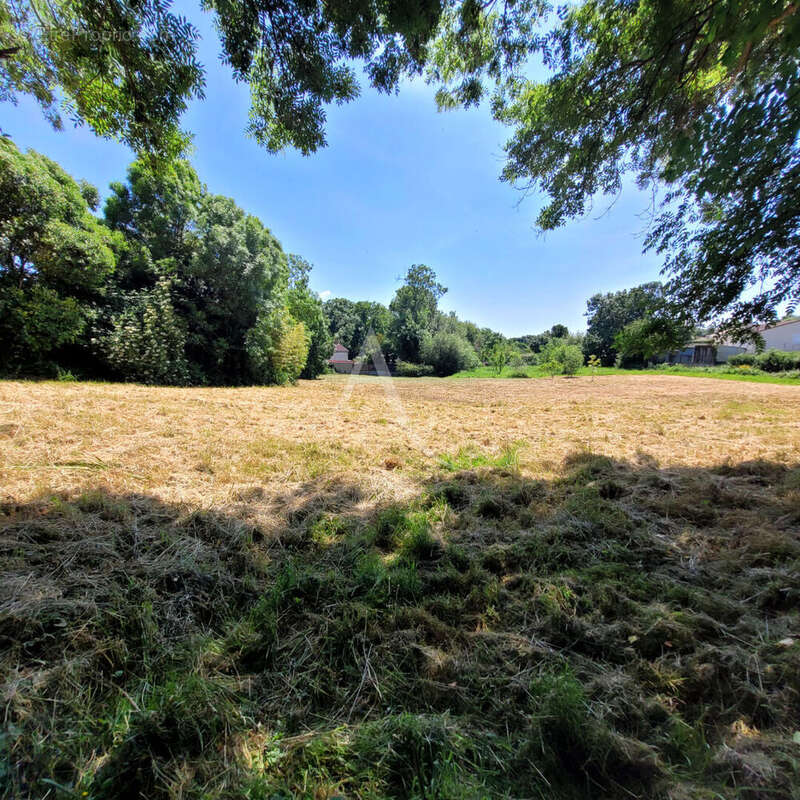 Terrain à LE CHAMP-SAINT-PERE