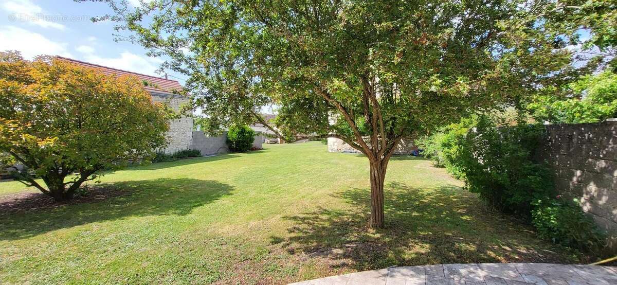 Maison 195 m² à Coussay-Les-Bois  - photo 9