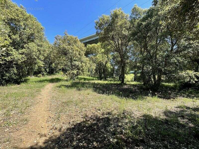 Terrain à LES CLUSES