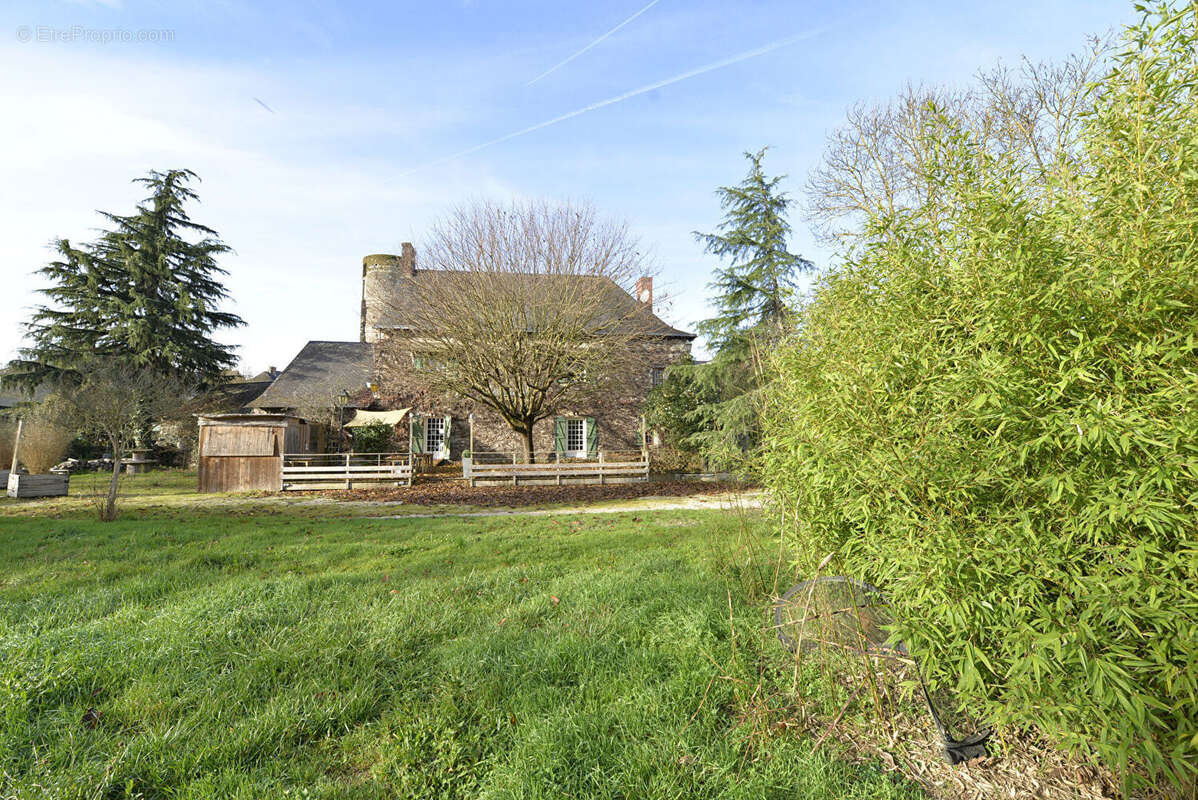 Maison à CHAMPTOCE-SUR-LOIRE