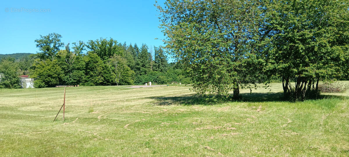 Superbe terrain plat et viabilisé-Très rare -Idéal pour votre futur maison ! - photo 2