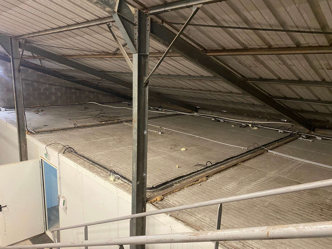 Commerce à VANXAINS