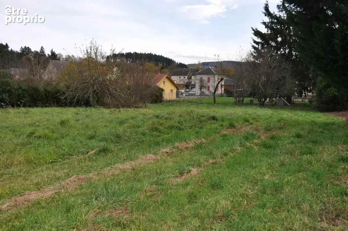 Beau terrain à bâtir de 2622 m2 à LE MAYET-DE-MONTAGNE - photo 5