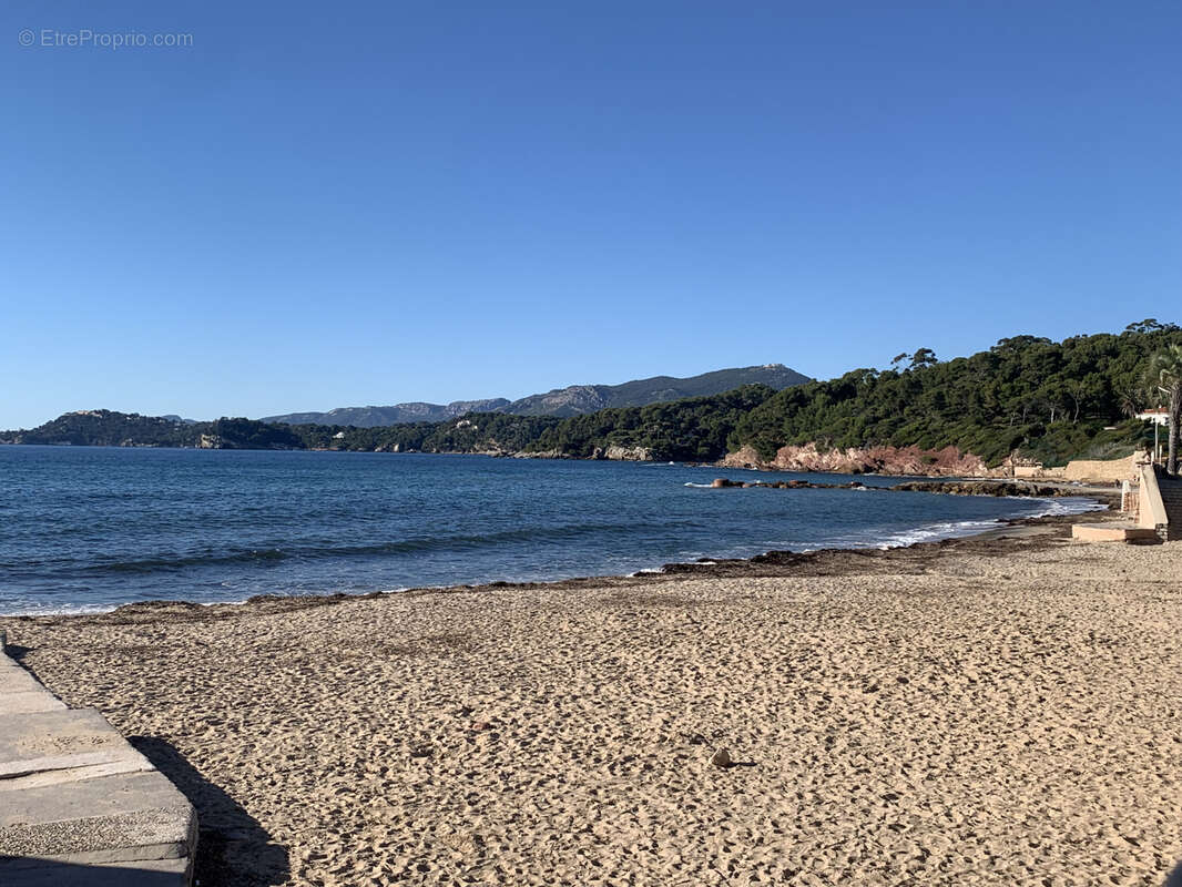 Terrain à LE PRADET