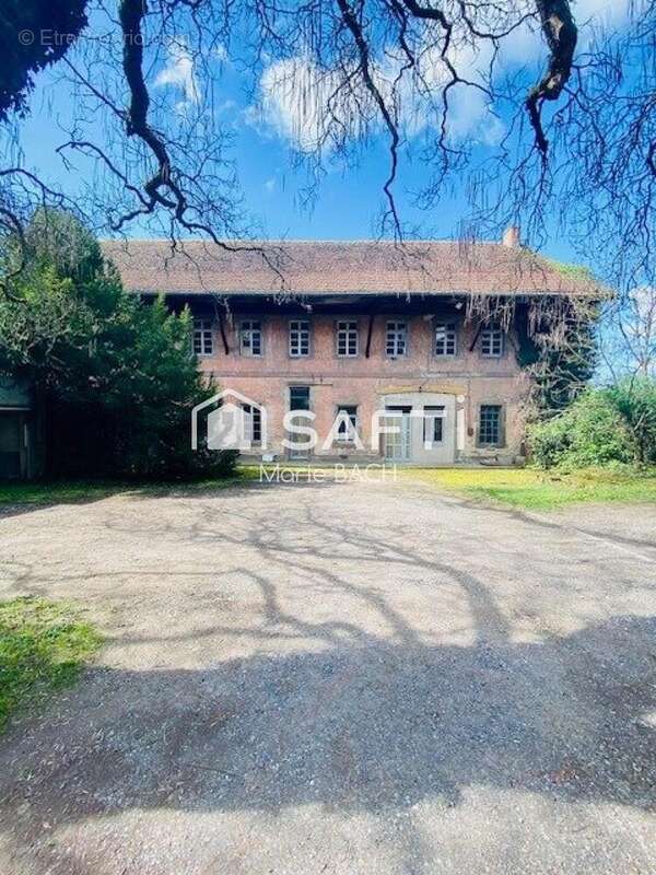 Photo 7 - Appartement à SARRE-UNION