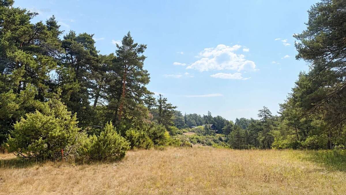 Terrain constructible de 1 990 m² – Un cadre naturel privilégié - photo 5
