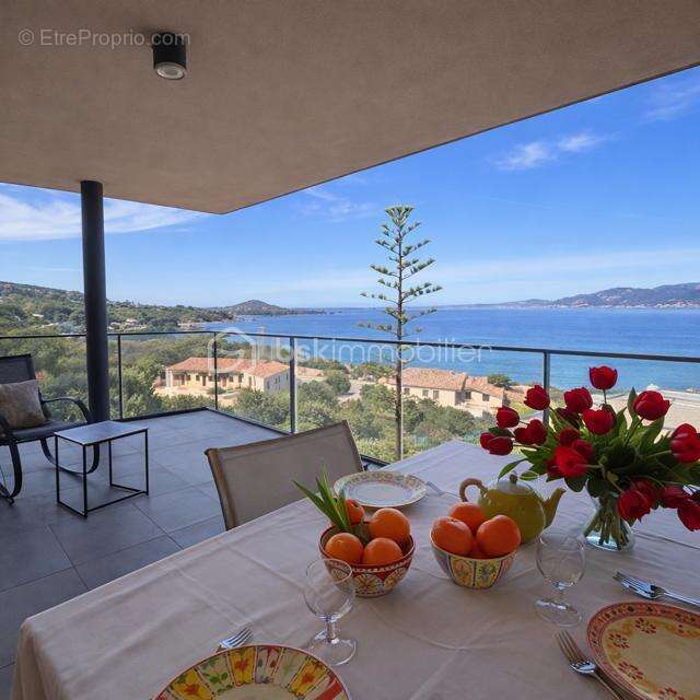 Appartement à PIETROSELLA