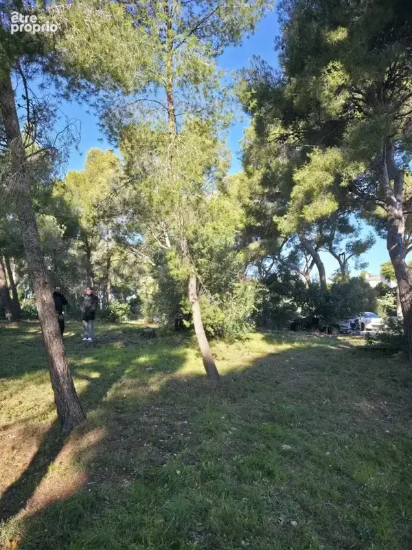 Terrain 688 m² à Sausset-Les-Pins  - photo 3